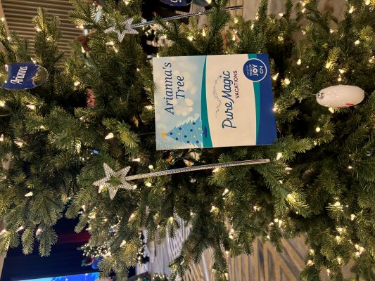 2024 Trees of Joy B